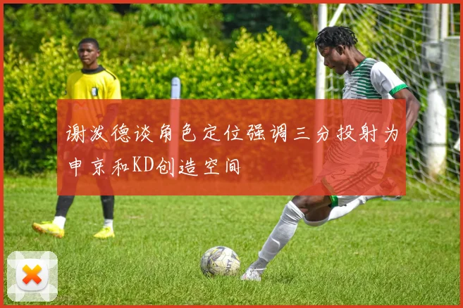 谢泼德谈角色定位强调三分投射为申京和KD创造空间
